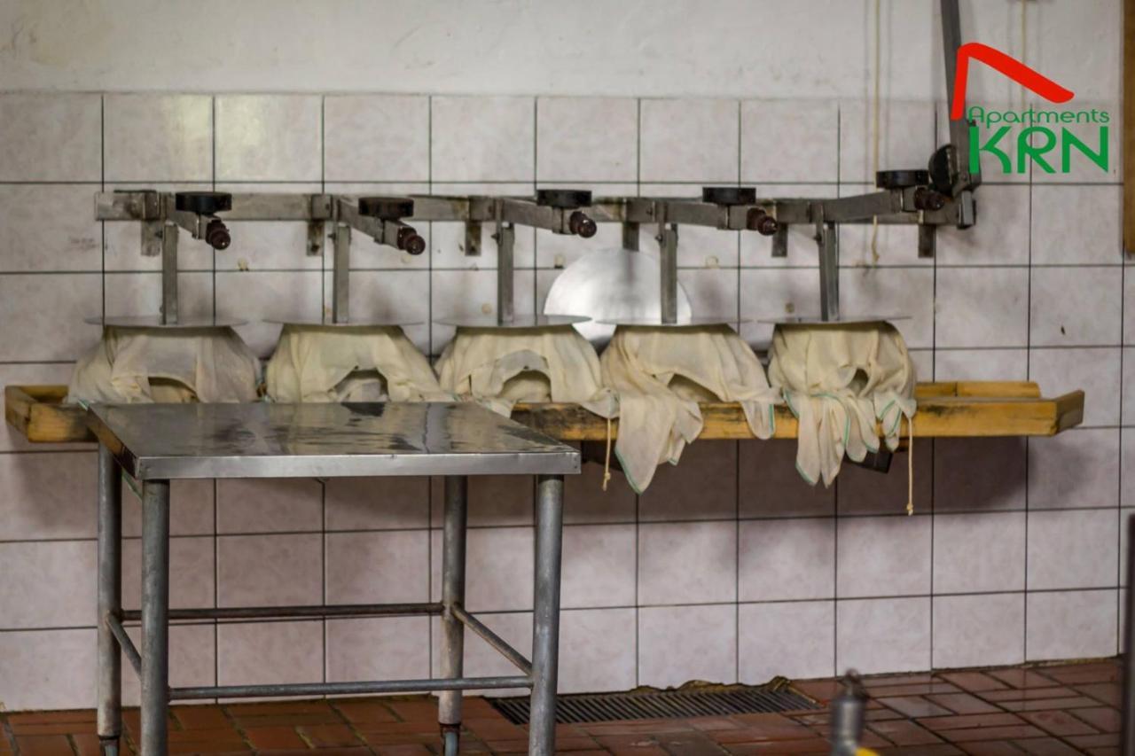 Apartments Krn Drežniške Ravne エクステリア 写真